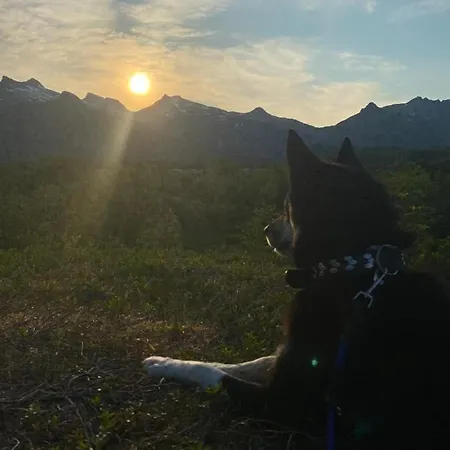 Nydelig Pa Kreta I Lofoten 아파트