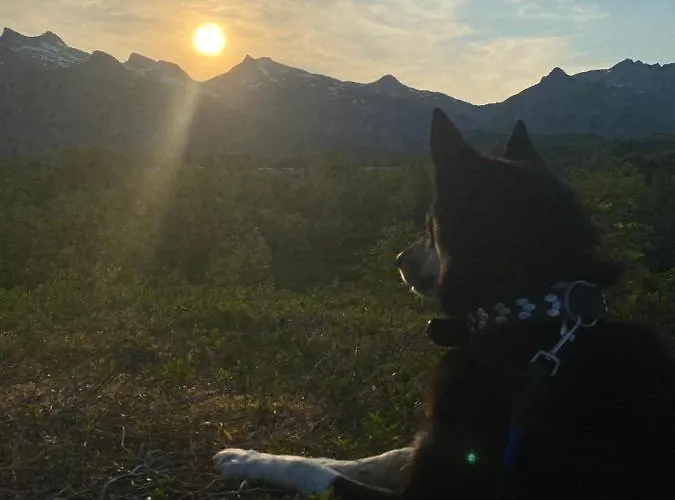 Nydelig Pa Kreta I Lofoten Lägenhet